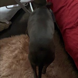 Meet your Posher, Bradley